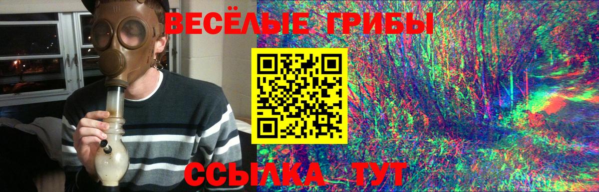 Галлюциногенные грибы мицелий  Вход с VPN  Шебекино 