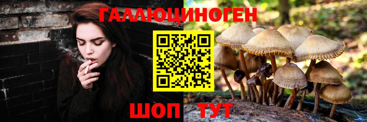Галлюциногенные грибы MAGIC MUSHROOMS Шебекино